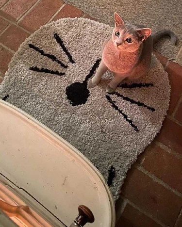 cat glowing red from the light coming from a fireplace.