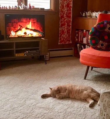 cat sleeps in front of YouTube tv fireplace.