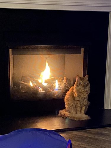 orange cat warms its coat next to fireplace.