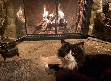 Black and white cat cozies up next to fireplace.