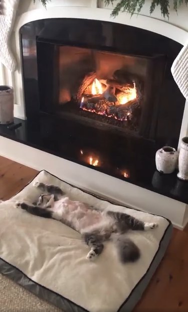 cat relaxes on their back in front of a fireplace.