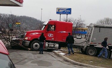 dog crashes semi truck