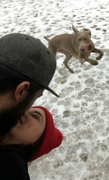 Dog photobombing picture of kissing couple.