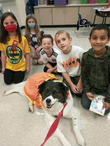 children reads to dogs