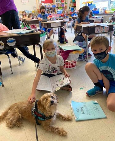 children reads to dogs