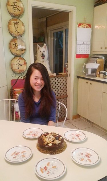 Dog photobombing picture of girl with birthday cake.