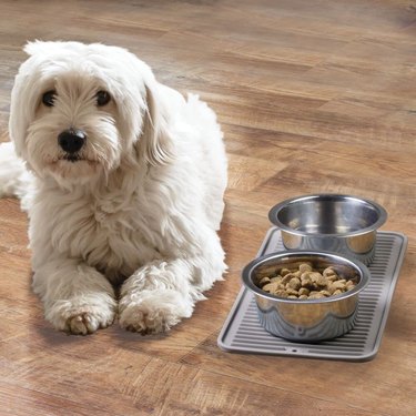 small pet feeding mat