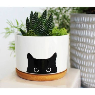 A white planter with an image of a black cat on it