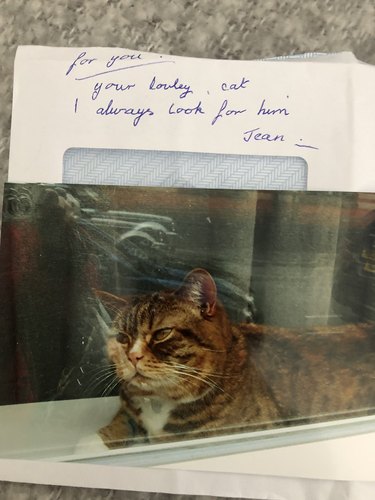 woman writes note for cat