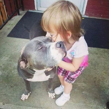 girl kisses pitbull