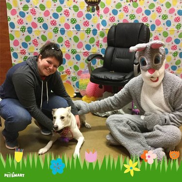 Dog doesn't like posing with Easter Bunny