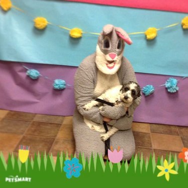 Dog doesn't like posing with Easter Bunny