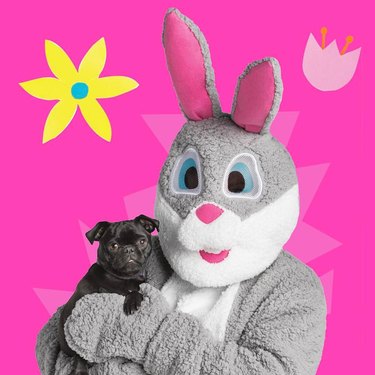 dog posing with easter bunny