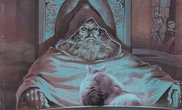 wizard pondering cat
