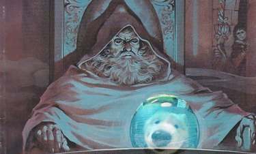 wizard pondering orb with dog inside it