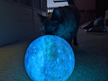 cat pushes orb off counter
