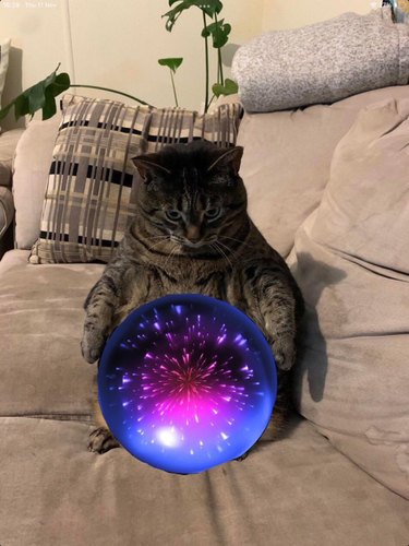 cat pondering magic orb