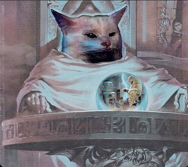 wizard cat ponders orb with robot inside it