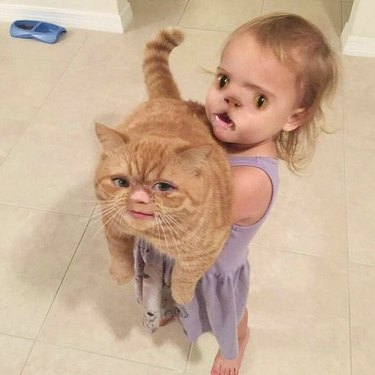 cat and baby faceswap