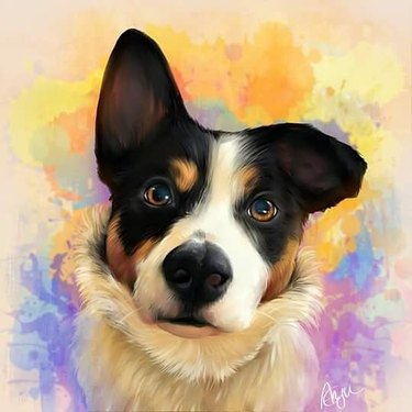 exquisite pet portraits