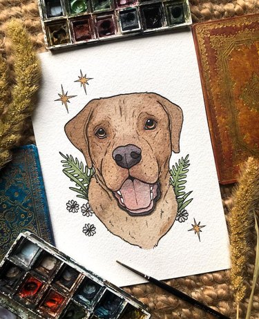 exquisite pet portraits