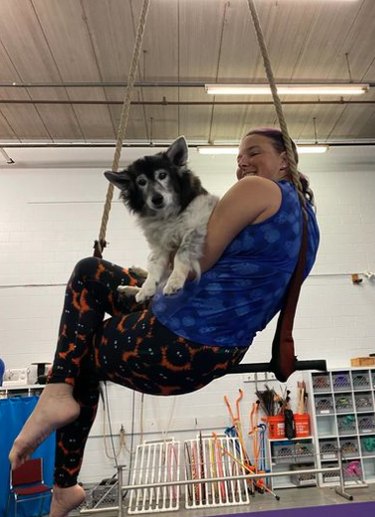 A woman sits on a trapeze, holding a large fluffy dog on her lap.