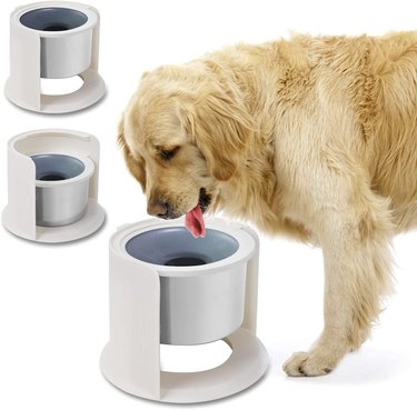 no spill dog water bowl