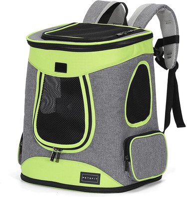 backpack for small dogs