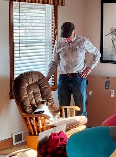 man slowly rocks chair to reassure cat