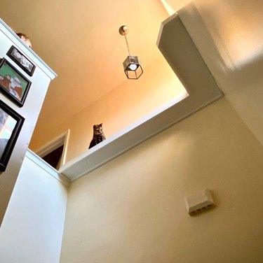 A cat is staring down at the camera from an elevated wall bridge, that spans across the open space of room.