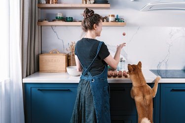 woman cooking food in kitchen with dog