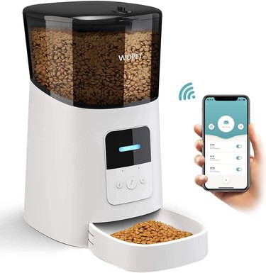 smart dog feeder with phone app