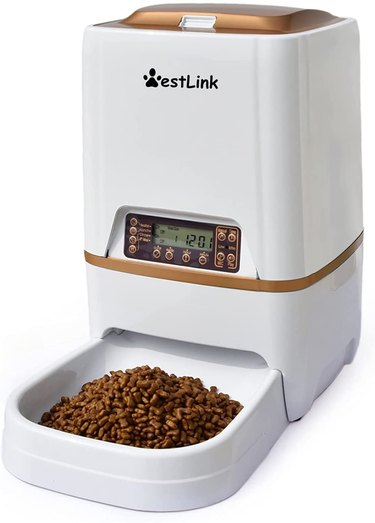 programmable dog food feeder