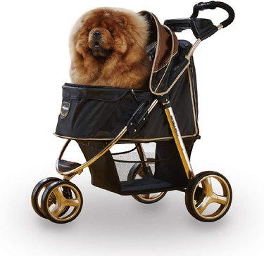 luxury dog stroller
