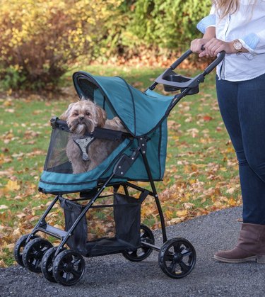stroller for small dog