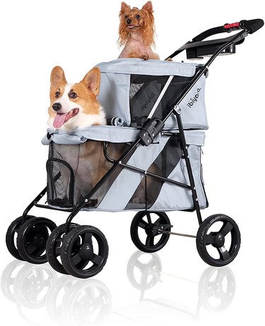 stroller for multiple dogs