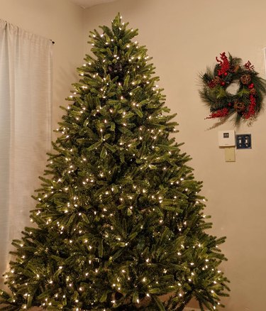 a black cat is hiding in a Christmas tree