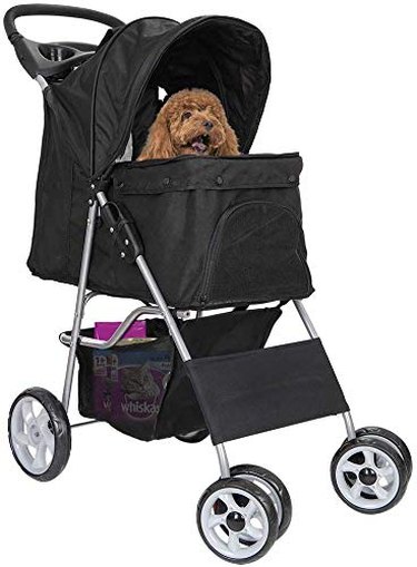 affordable dog stroller