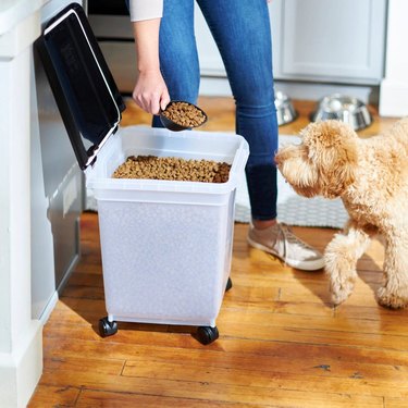 Person scooping dog kibble out of a food storage container on wheels.