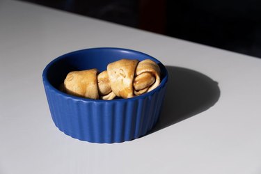 modern ceramic dog bowl