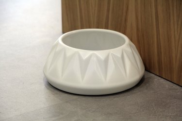bowl for dogs with long ears