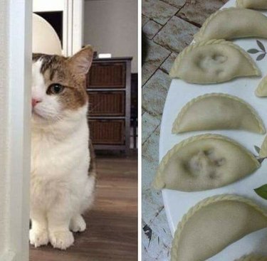 cat leaves paw print on uncooked dumplings