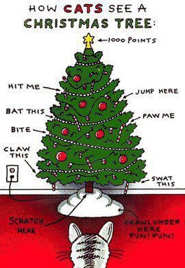 how cats see christmas tree infographic