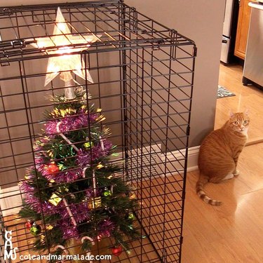 cats look at Christmas tree guarded by cage
