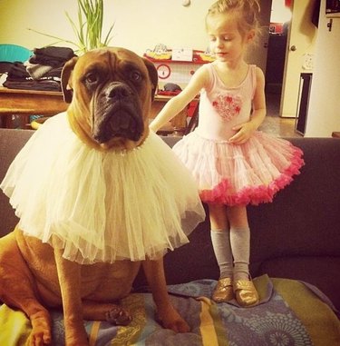 Girl and dog wearing tutus.