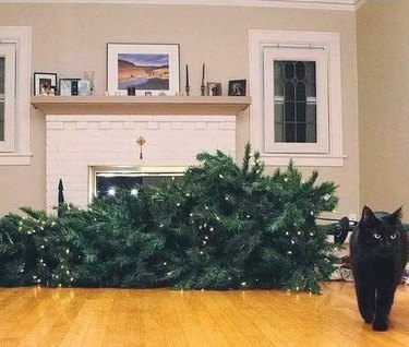 cat walks away from knocked over Christmas tree