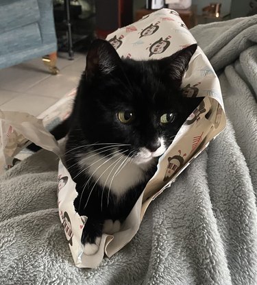 Black and white cat in a pile of wrapping paper.