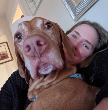 dog crowds woman on couch