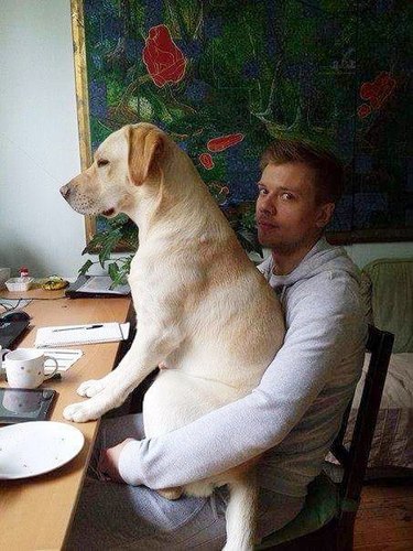 dog on man's lap