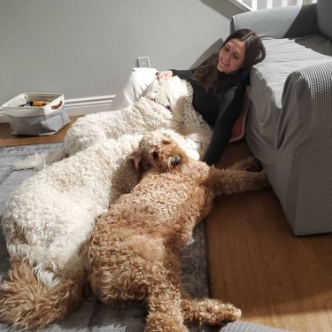 woman cuddles with three big dogs